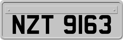 NZT9163