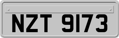 NZT9173