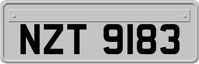 NZT9183