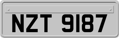 NZT9187