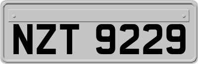 NZT9229