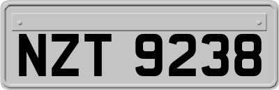 NZT9238