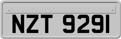 NZT9291
