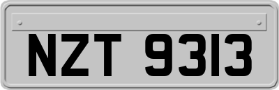 NZT9313