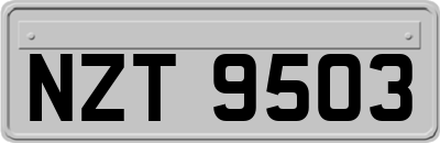 NZT9503
