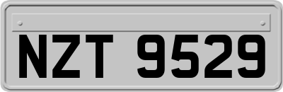 NZT9529