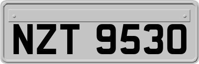 NZT9530