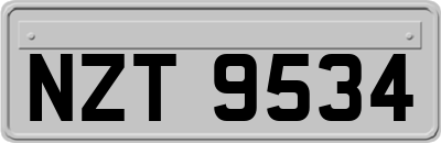 NZT9534