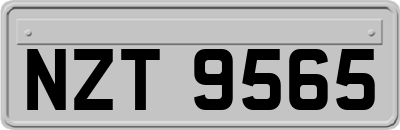 NZT9565
