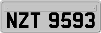 NZT9593