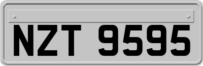 NZT9595