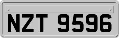 NZT9596