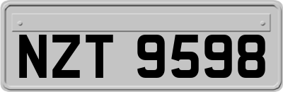 NZT9598