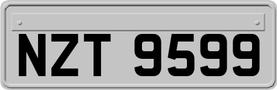 NZT9599