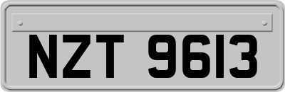 NZT9613