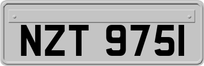 NZT9751