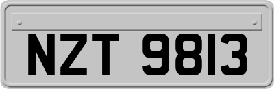 NZT9813
