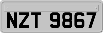 NZT9867