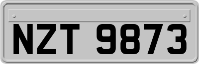 NZT9873