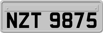NZT9875