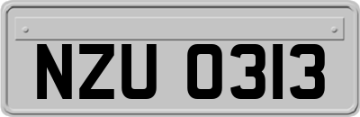 NZU0313