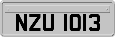 NZU1013