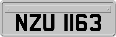 NZU1163