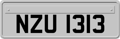 NZU1313