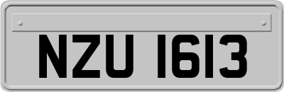 NZU1613