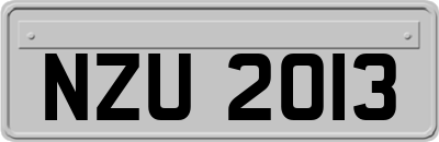 NZU2013