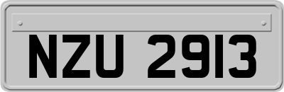 NZU2913