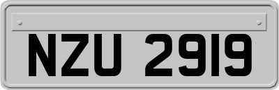 NZU2919