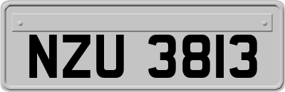 NZU3813