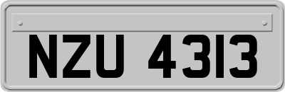 NZU4313