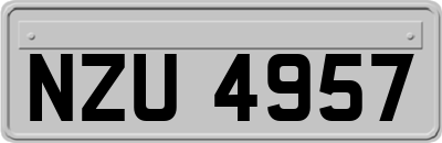 NZU4957