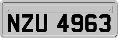 NZU4963