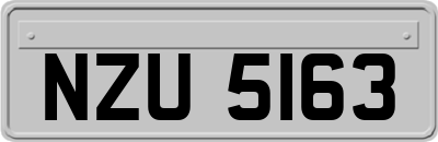 NZU5163
