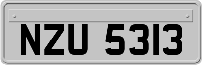 NZU5313