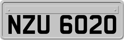 NZU6020