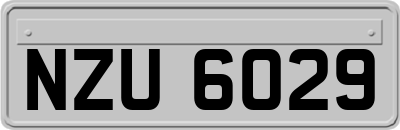 NZU6029