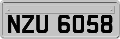 NZU6058