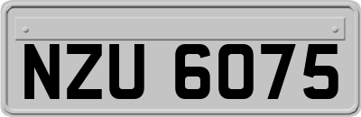 NZU6075