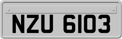 NZU6103