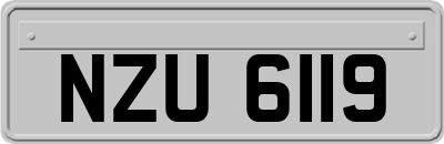 NZU6119
