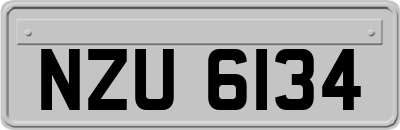 NZU6134