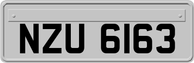 NZU6163