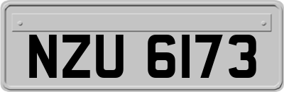 NZU6173