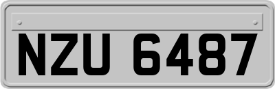 NZU6487