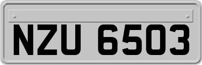 NZU6503
