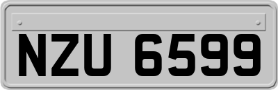 NZU6599